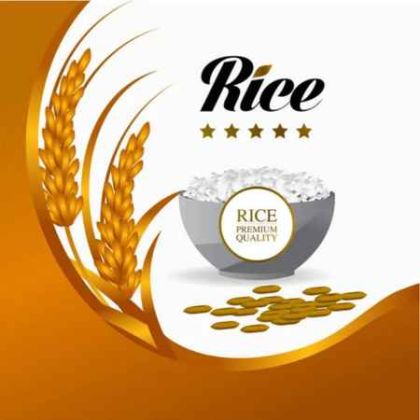 Rice (چاول)